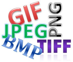 what is a gif?, raster vs. vector, what is a jpeg?, what is a png?