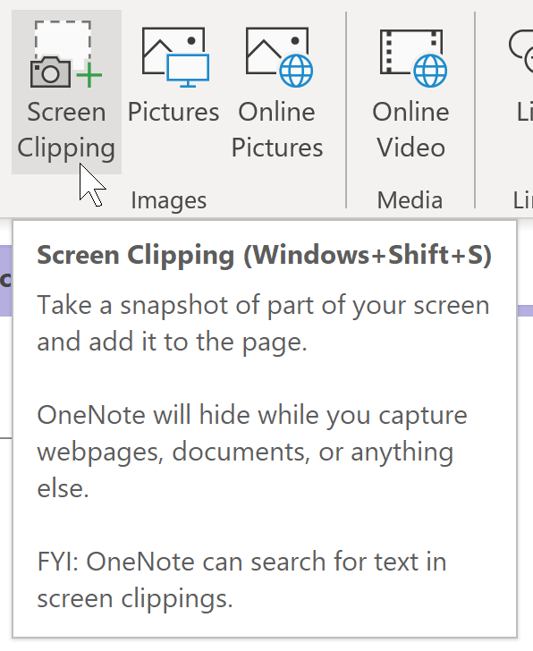 OneNote screen clipping, screen capture in OneNote, Microsoft OneNote images