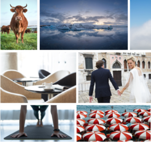 image of multiple photos from Microsoft Stock Images